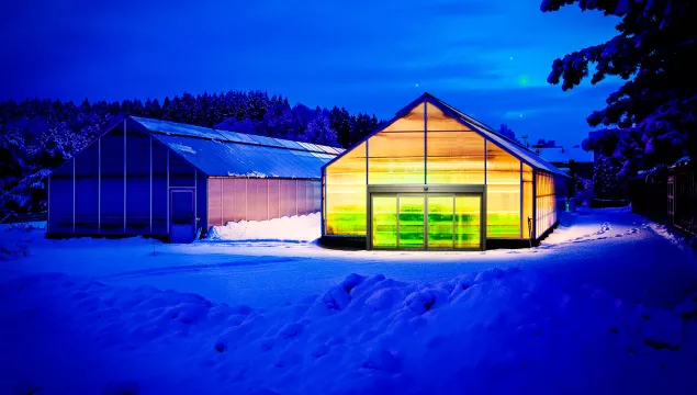 A set of doors on a greenhouse in the snow.